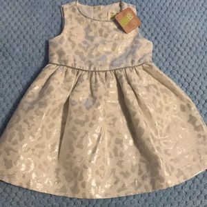 6-12 months girl dress from crazy 8